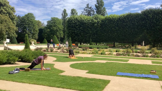 YOGA dans le parc Wallach